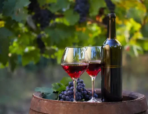 Cara Mudah Memilih Wine Merah untuk Hidangan Favorit Anda